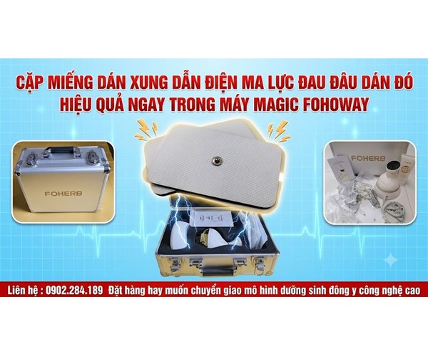 Công Năng Tác Dụng Và Giá Bán Của Cặp Miếng Xung Ma Lực Của Máy Massage Magic Fohoway